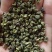 纯青青花椒85%开口