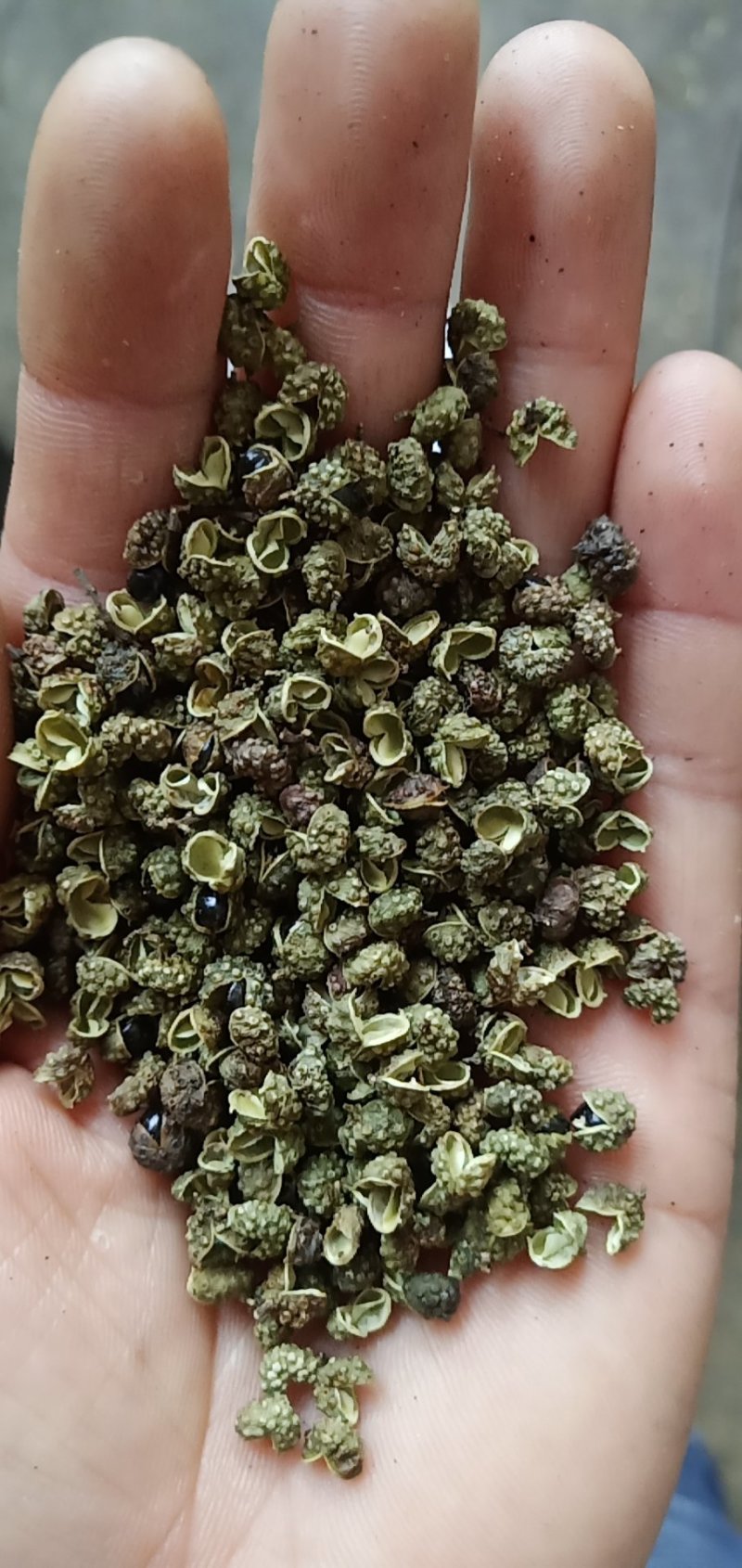 纯青青花椒85%开口