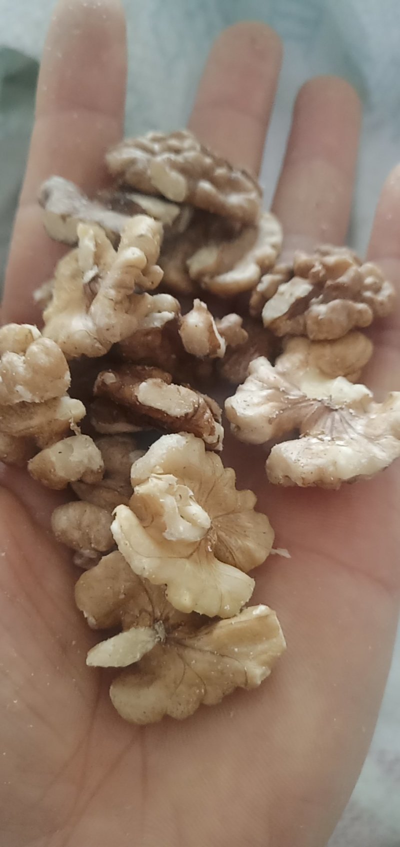 蝴蝶半核桃仁，老树核桃仁。