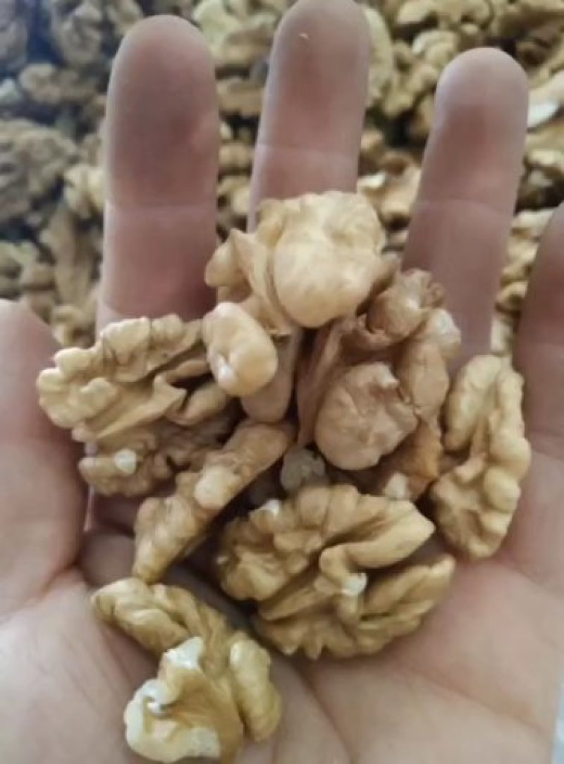 蝴蝶半核桃仁，老树核桃仁。