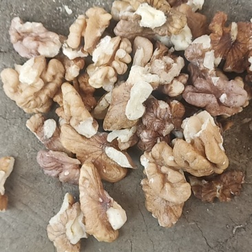 老树核桃仁，2路