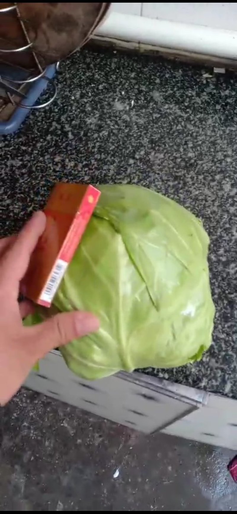 甘蓝