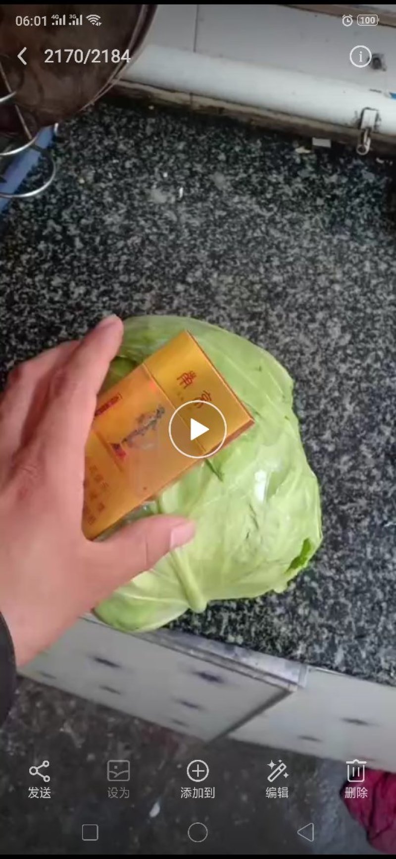 甘蓝