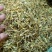 精选特级新货野生金银花色青，无硫，无沫，纯净金银花
