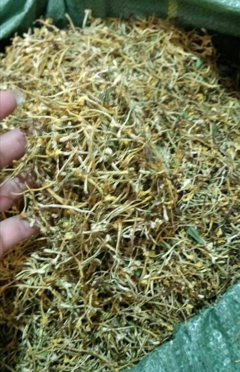 精选特级新货野生金银花色青，无硫，无沫，纯净金银花