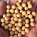 黄豆高蛋白大豆可做豆浆豆腐腐竹厂家直销量大从优