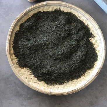 有机肥种植不使用除草剂自种自销的原产地绿茶