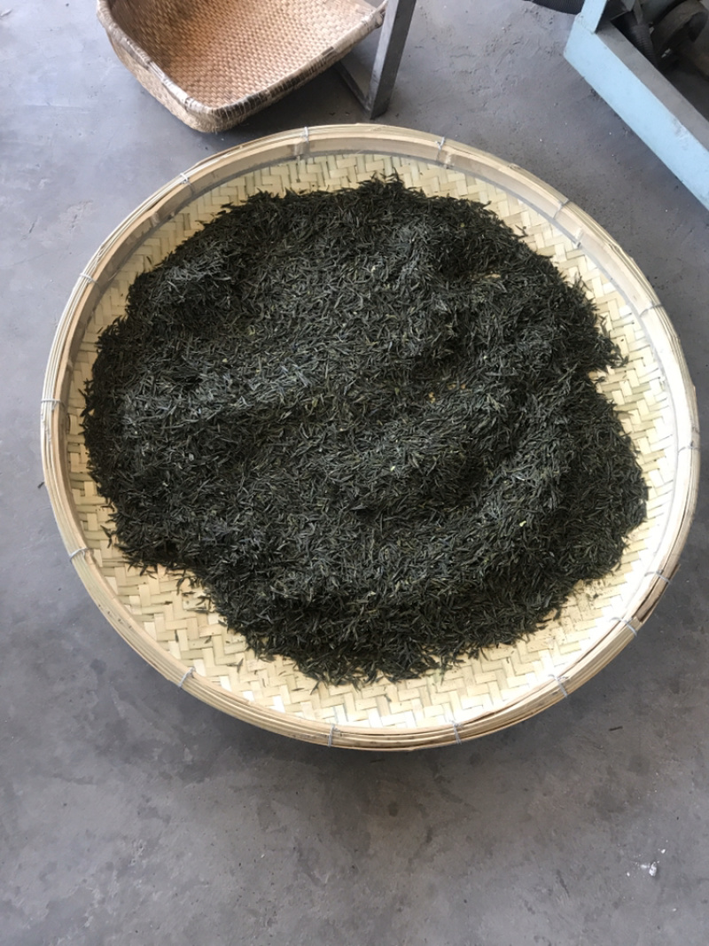 有机肥种植不使用除草剂自种自销的原产地绿茶
