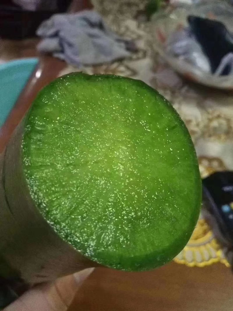山东潍坊产区大棚瓜茬铁杆水果萝卜大量上市中