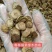 化橘红胎果片，效果更好。来自化橘红之乡产地