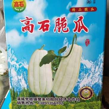 高石脆瓜
