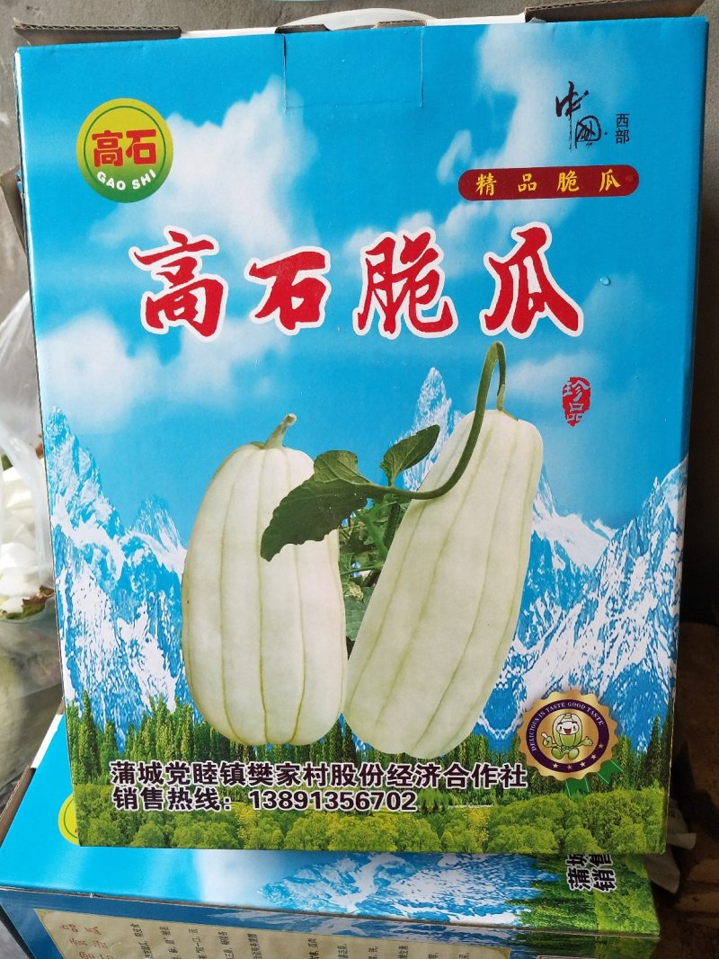 高石脆瓜