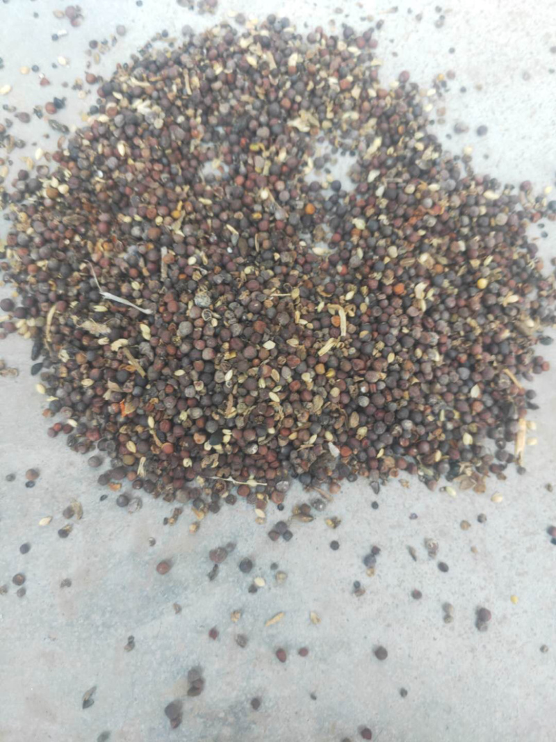 菜子下脚料