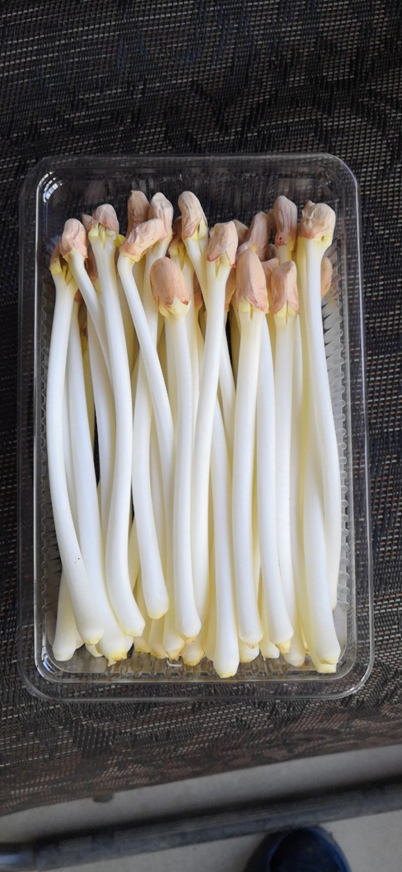 花生芽