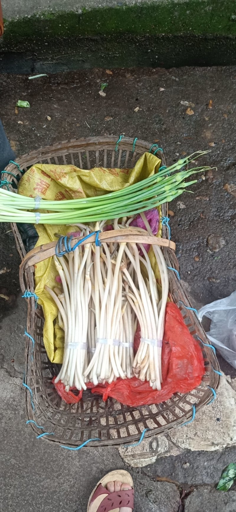 藕带藕尖新鲜的藕芽菜尖长又白脆量大可议价