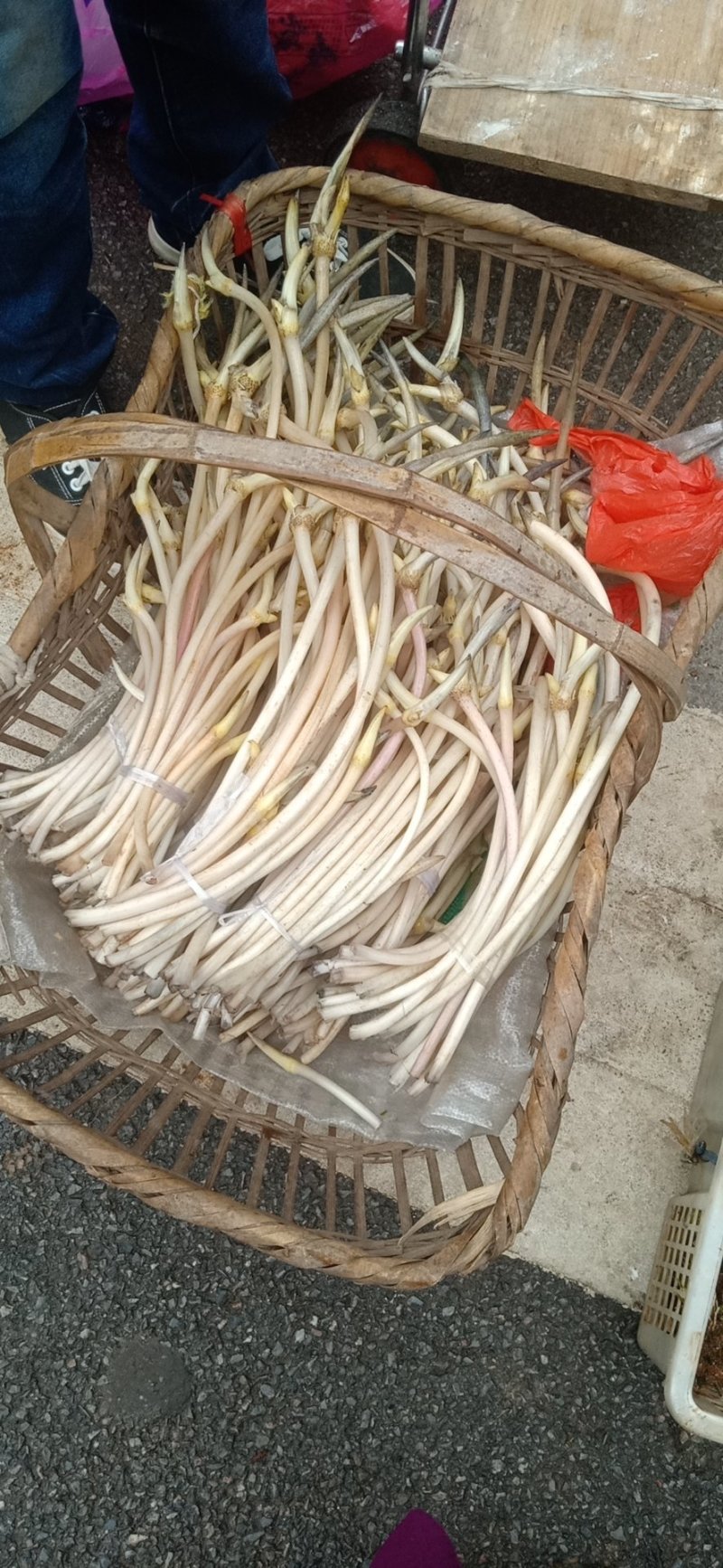 藕带藕尖新鲜的藕芽菜尖长又白脆量大可议价