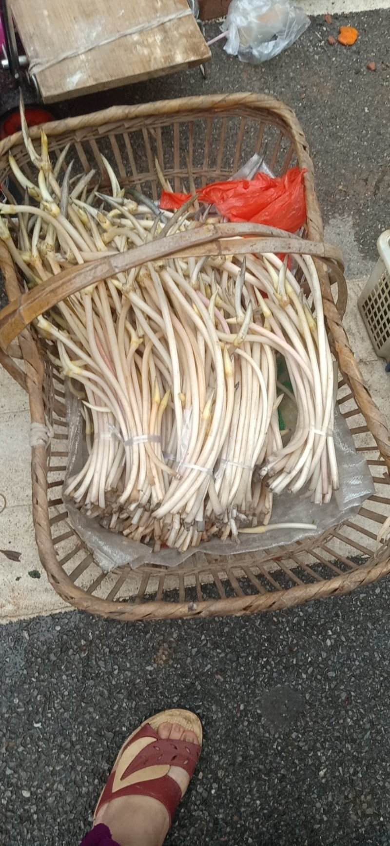 藕带藕尖新鲜的藕芽菜尖长又白脆量大可议价