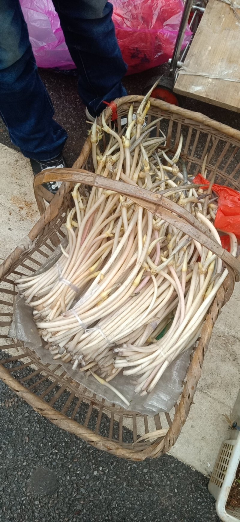 藕带藕尖新鲜的藕芽菜尖长又白脆量大可议价