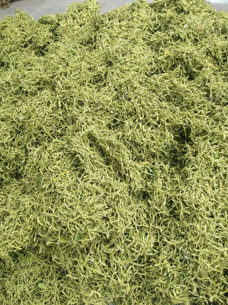 高含量金银花！头茬二茬花原产地直供！
