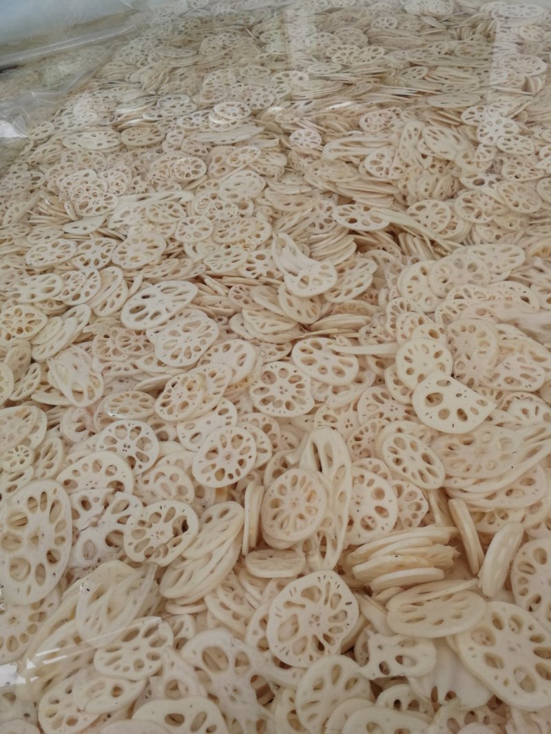 专做长期合作供应盐渍莲藕片
