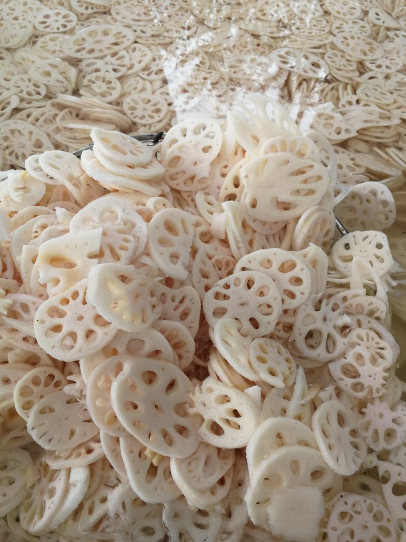 专做长期合作供应盐渍莲藕片