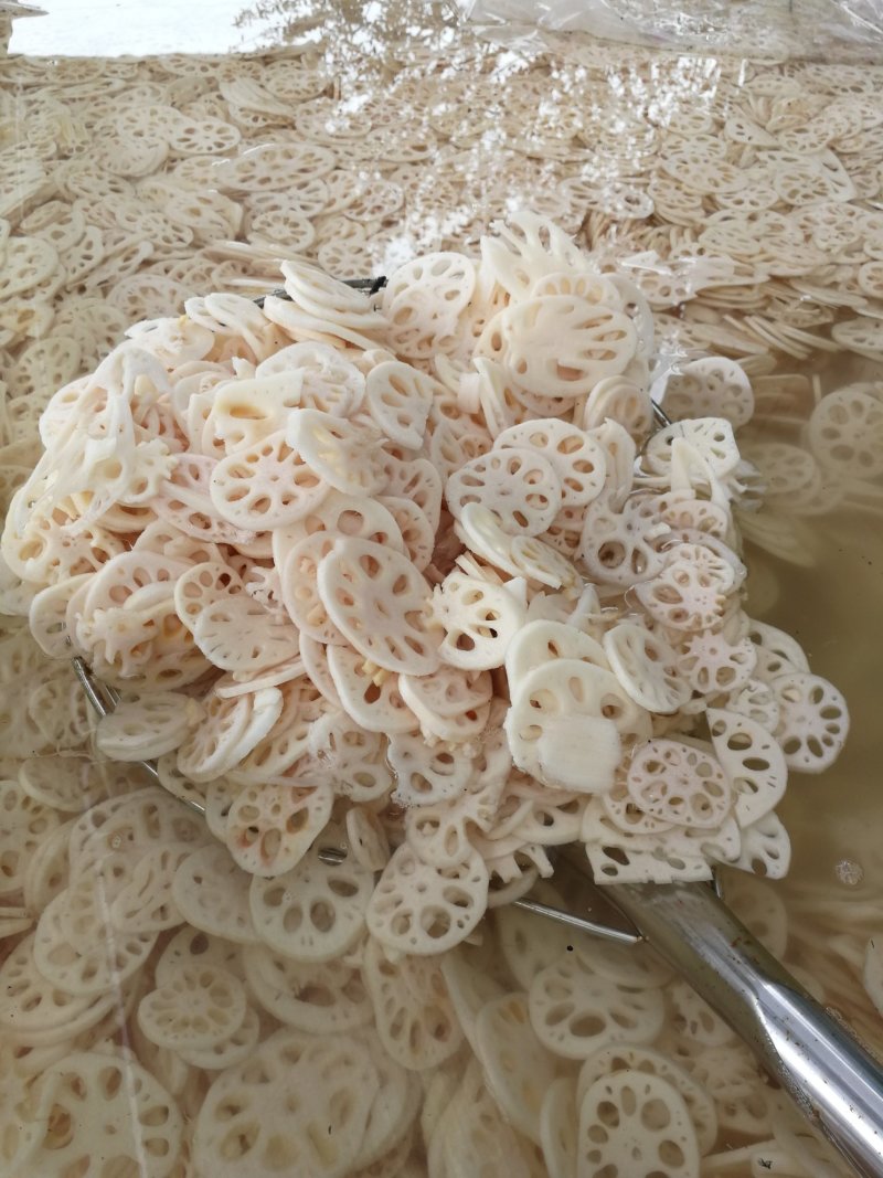 专做长期合作供应盐渍莲藕片