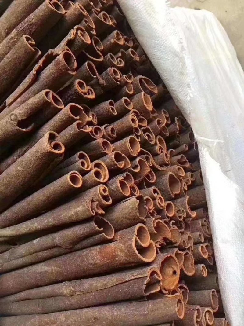 广西新货桂皮，条型好干度好，整包起批。
