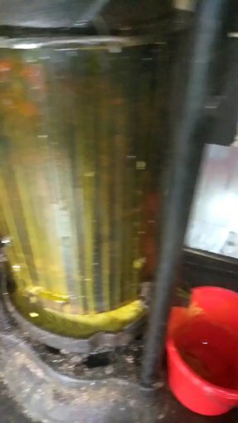 需要纯豆油的联系我，保证东北黄豆压榨！假一赔十，也可现榨