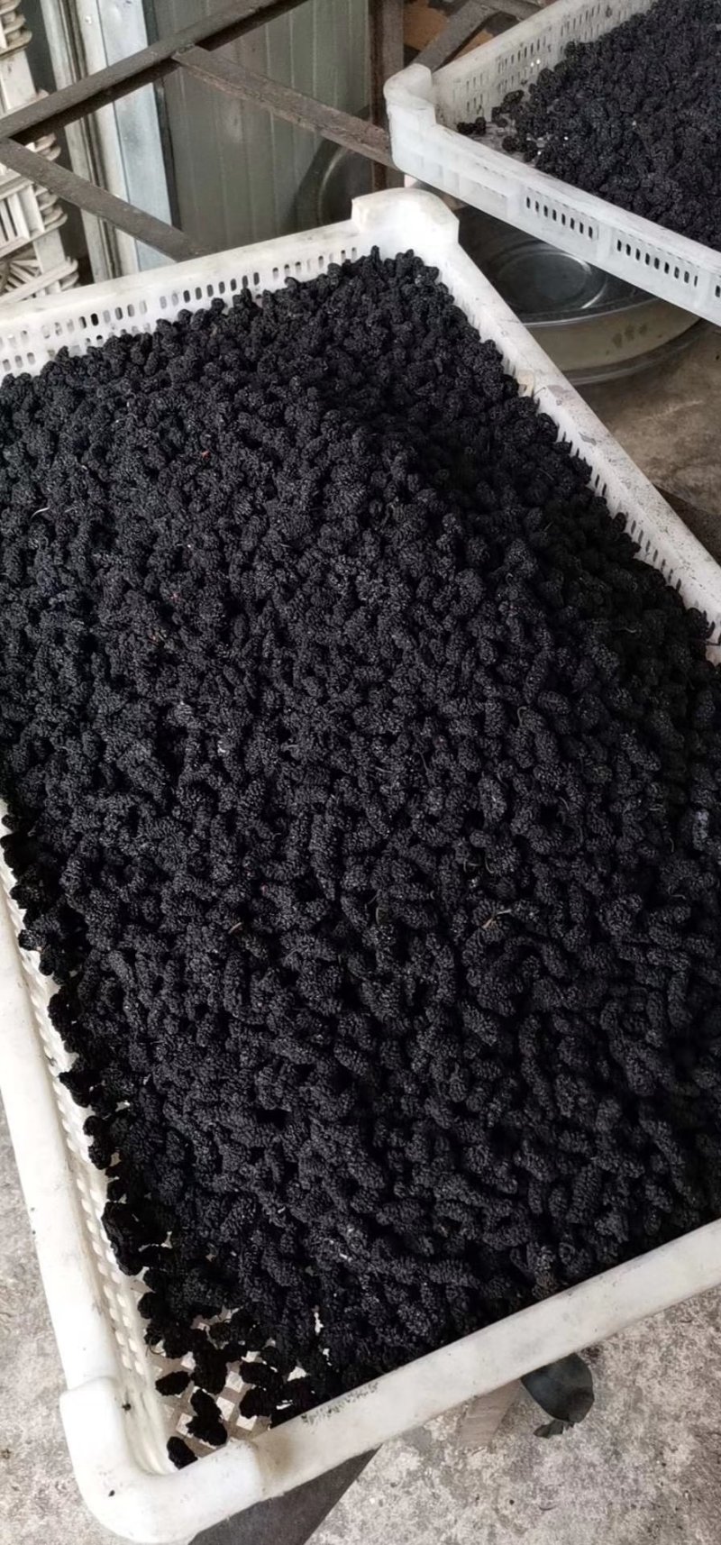四川桑葚干特级无沙食用桑葚干德昌产冷风风干型团购批发