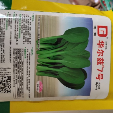 小白菜种子(华尔兹7号鸡毛菜)
