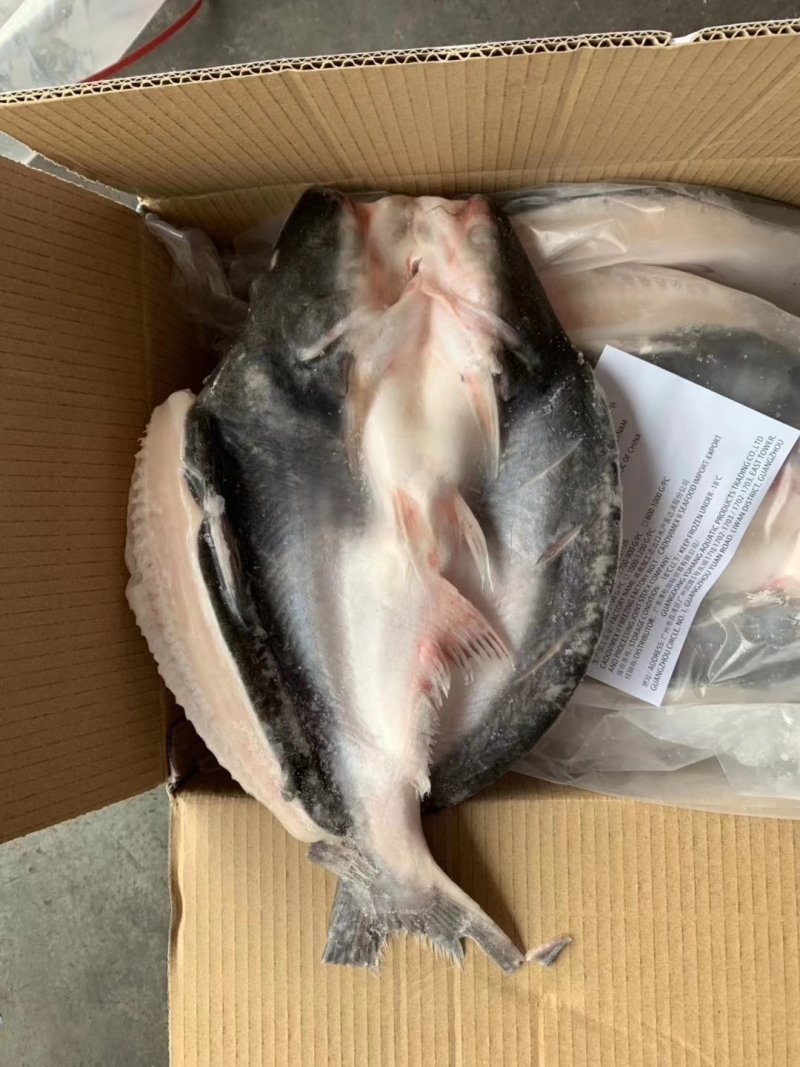开背腌制巴沙鱼，烤鱼店专用