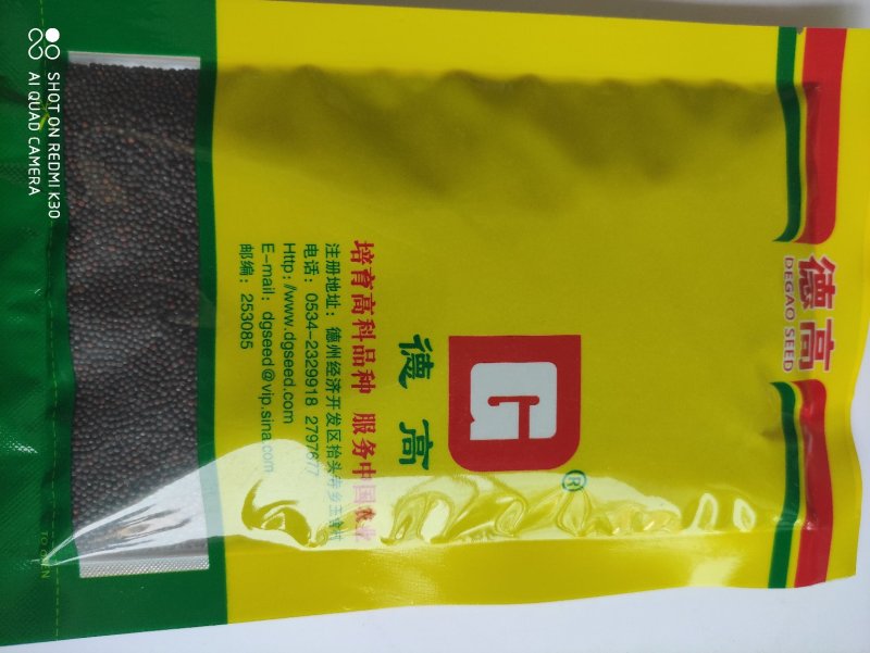 德高绿翔小白菜种子耐热耐湿抗病性强