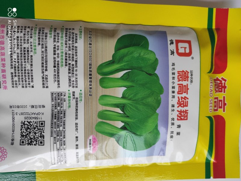 德高绿翔小白菜种子耐热耐湿抗病性强