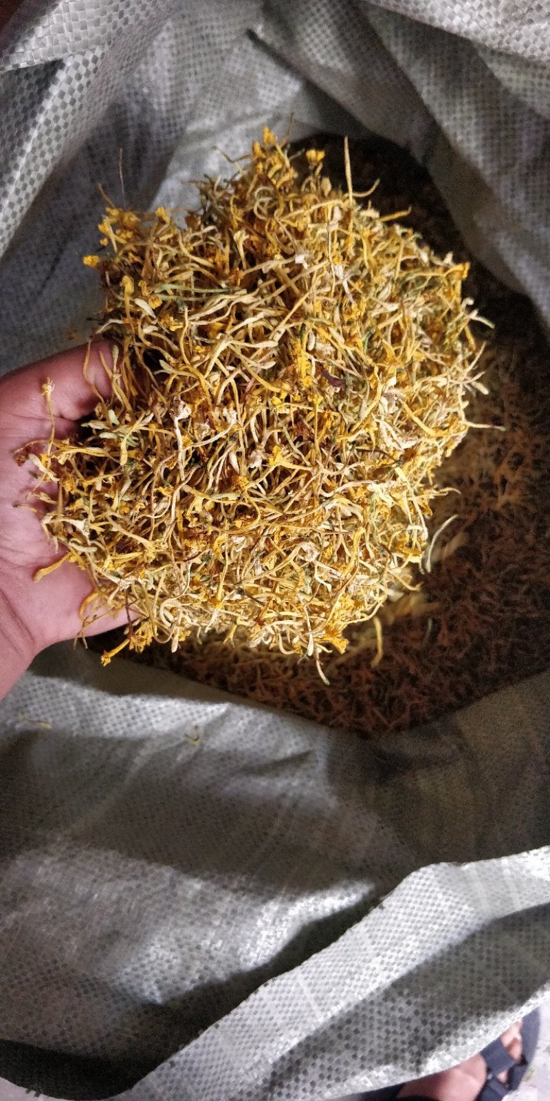 云南当地深山野金银花，香味够，干度脆。