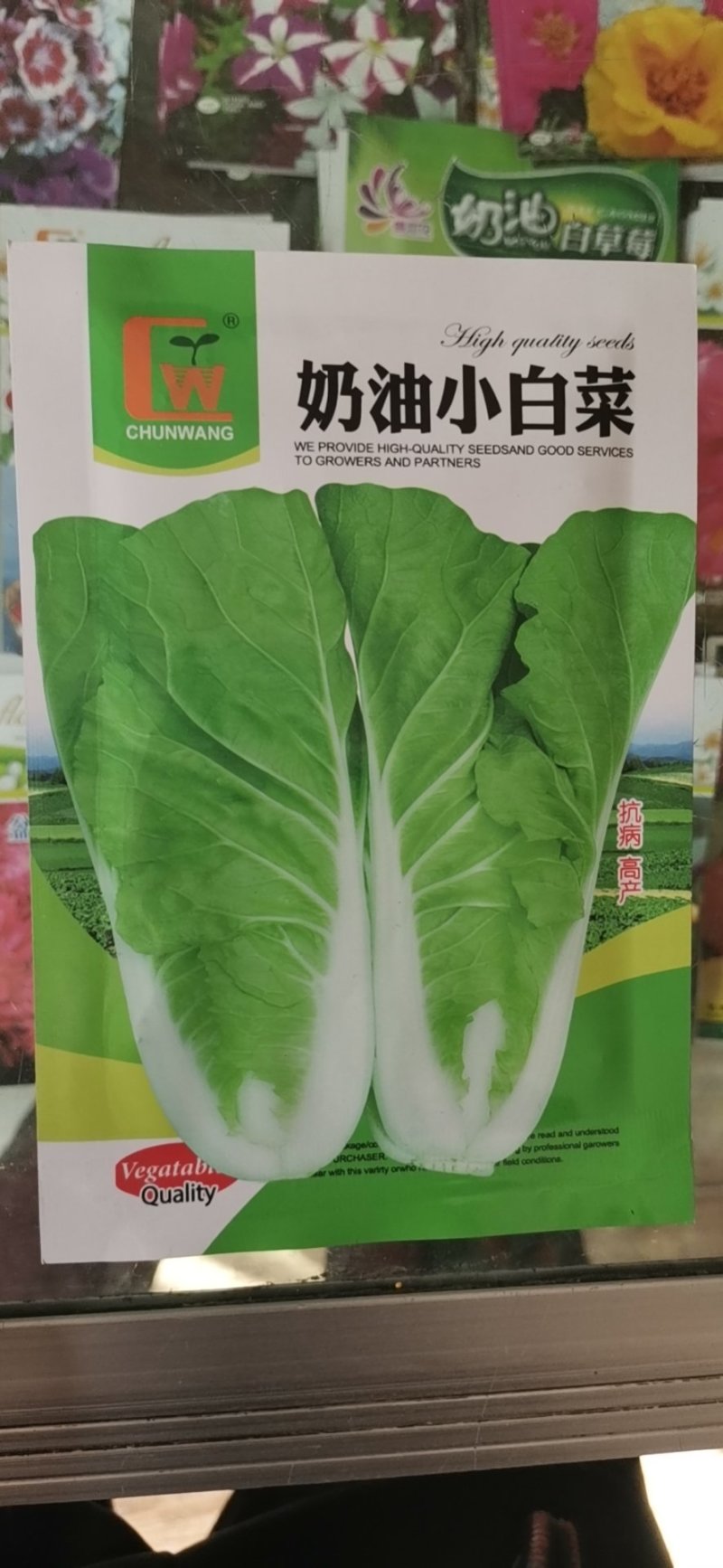 奶油小白菜种子