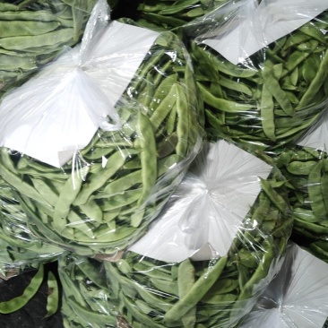 油豆刚刚上市中质量好价格合理要货请联系