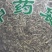 中药材百里香天然无硫熏一公斤起包邮