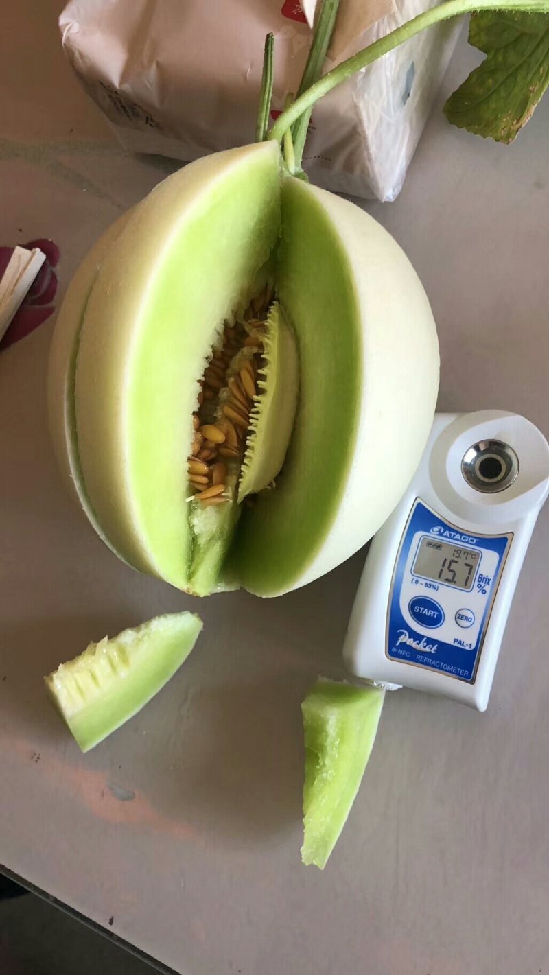 瓜果类，诚信代办