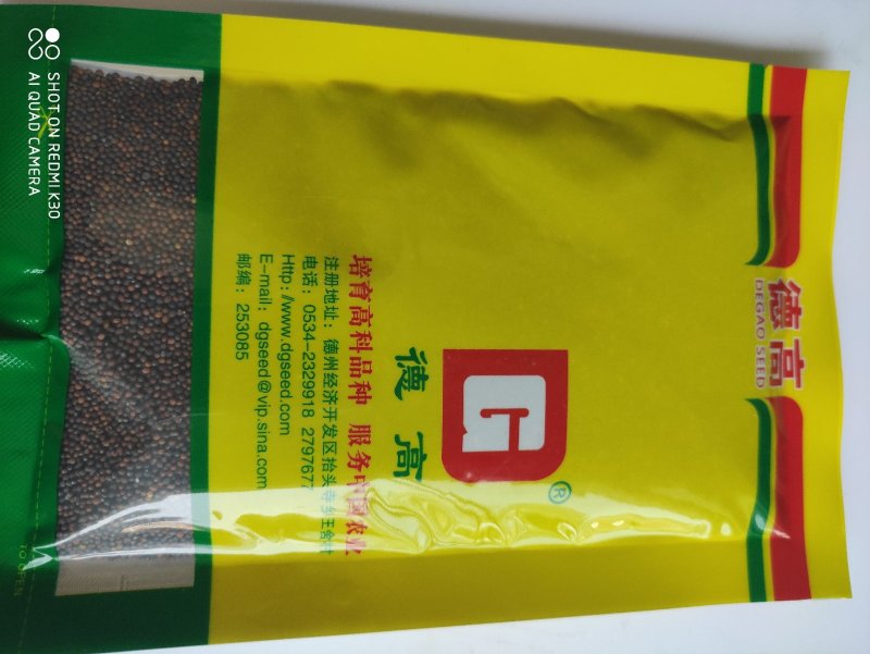 德高夏龙7号青梗菜种子