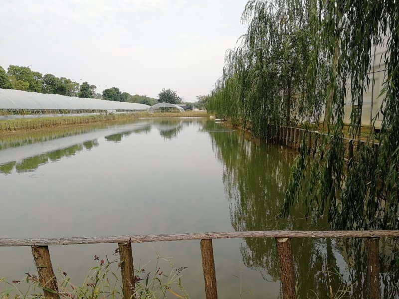 休闲民宿生态园农场转让出租