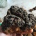 野生桦树茸白桦茸货好量大俄罗斯进口
