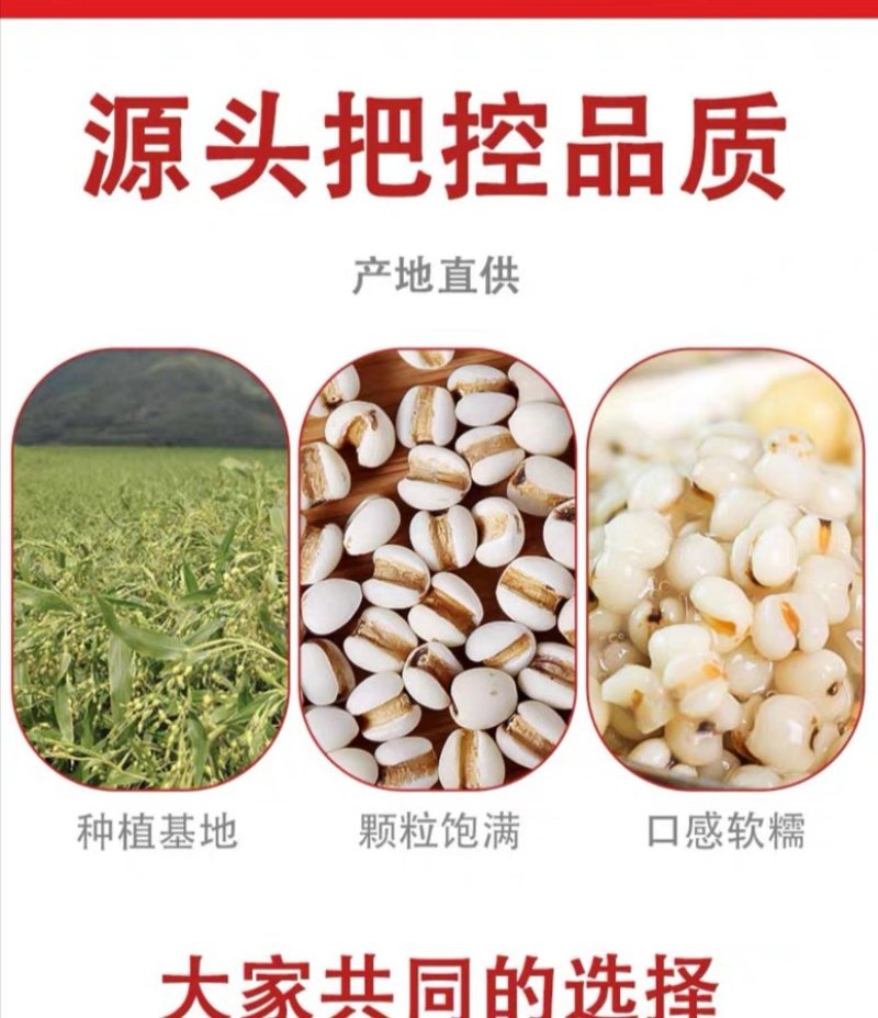 真空杂粮系列真空薏米薏仁苡仁详情致电询问