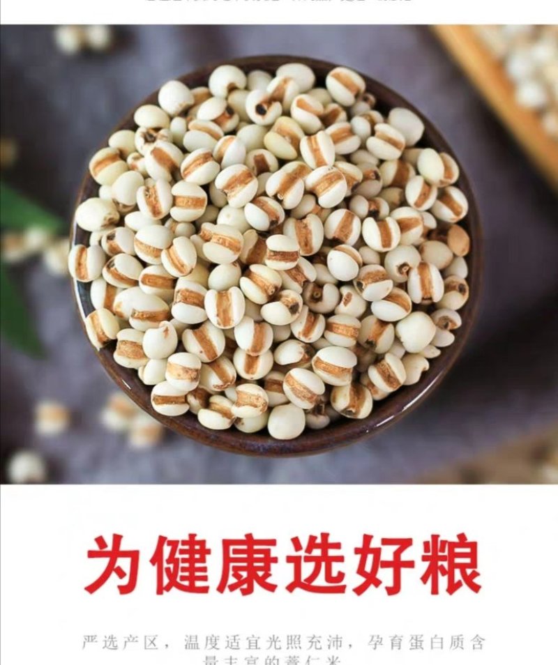 真空杂粮系列真空薏米薏仁苡仁详情致电询问