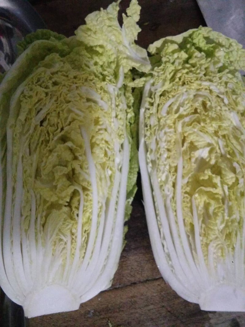 精品娃娃菜供应量大，价低不烧芯