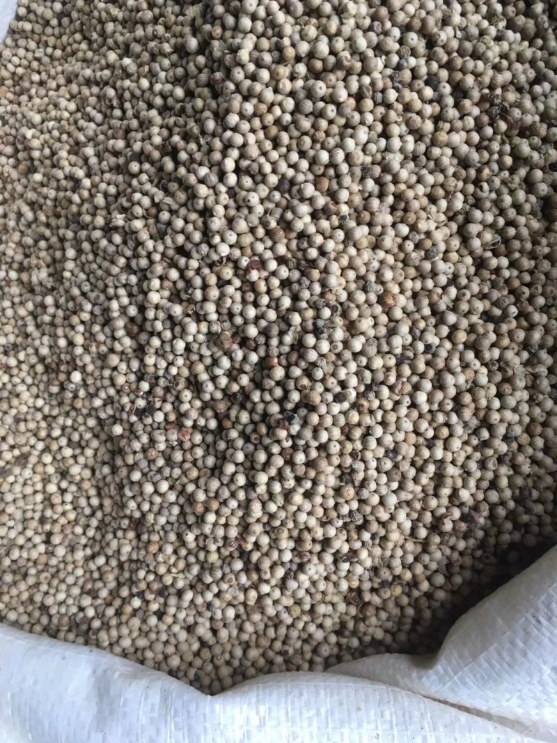 白胡椒粒特级白胡椒子颗粒可打散粉调料水洗白椒海南特产足干