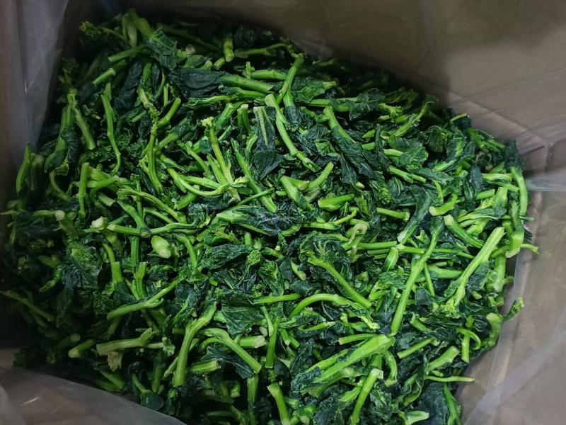 速冻菜苔精选优质新鲜菜苔原料，精细加工视频看货