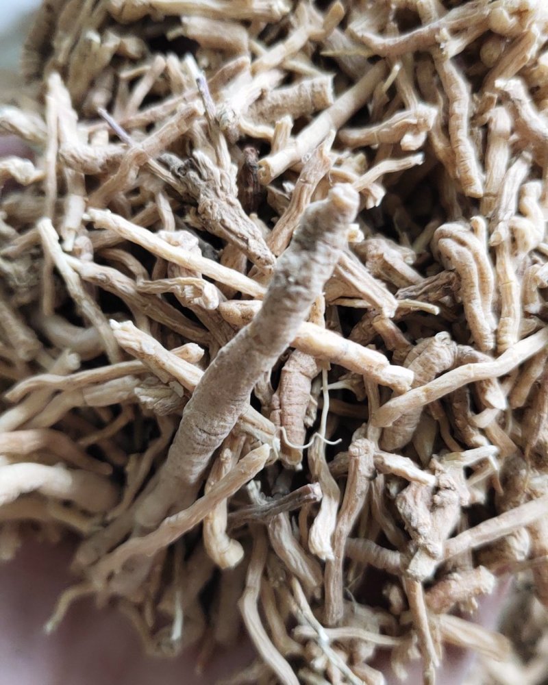【文斌药业】远志炙远志统装货抽芯率百分之50地道药材