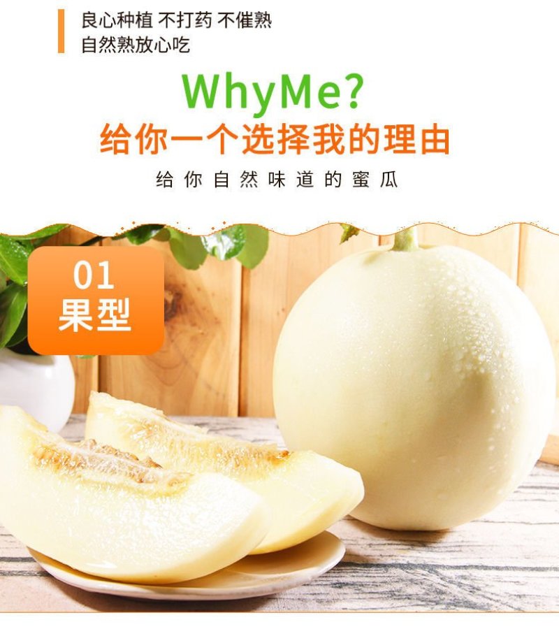陕西阎良甜瓜小甜瓜白瓜新鲜采摘水果一件代发产地包邮