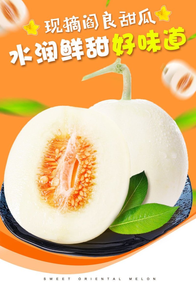 陕西阎良甜瓜小甜瓜白瓜新鲜采摘水果一件代发产地包邮
