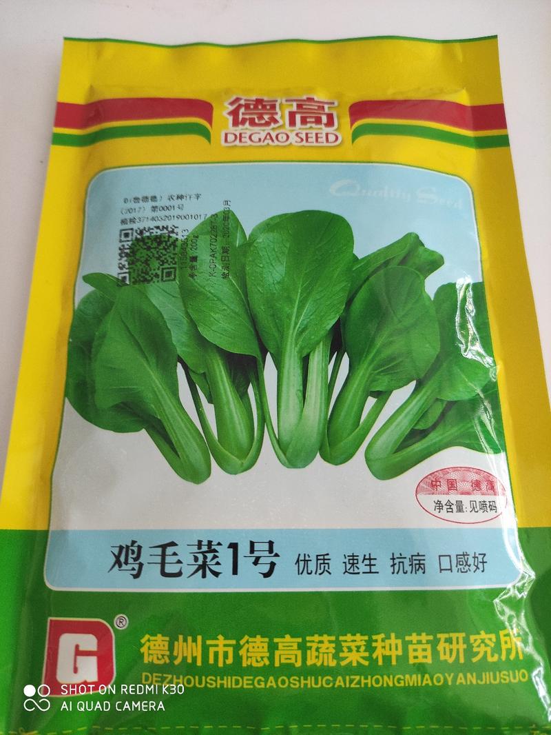 小白菜种子(德高鸡毛菜1号)